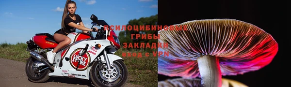 герыч Заволжск