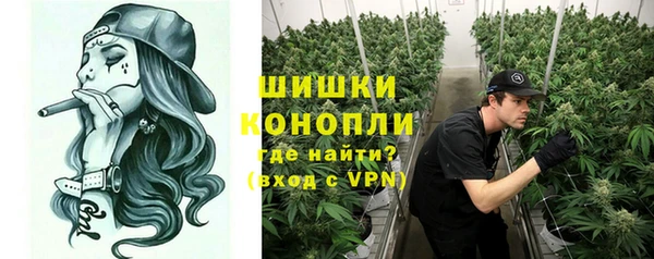 гашик Новозыбков